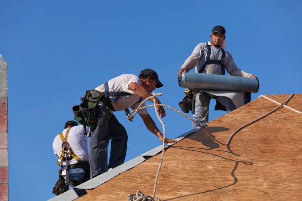 Best Roof Maintenance Services  in La Crosse, KS